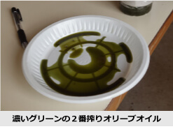 アレッポの石鹸ロングバー オリーブオイル