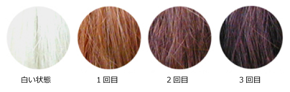 ヘナ+木藍 黒茶系染まりの状態