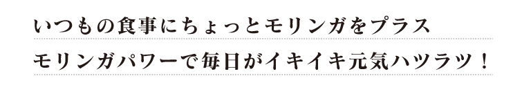 いつもの食事にちょっとモリンガをプラス
モリンガパワーで毎日がイキイキ元気ハツラツ!
