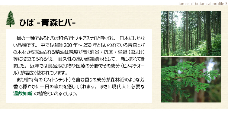 植物のパワーに着目! こころとからだをケアするBotanical power 青森ひば