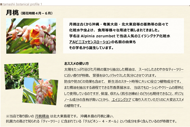 植物のパワーに着目! こころとからだをケアするBotanical power