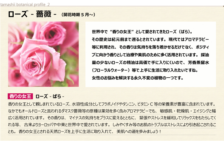 植物のパワーに着目! こころとからだをケアするBotanical power ローズ -薔薇-
