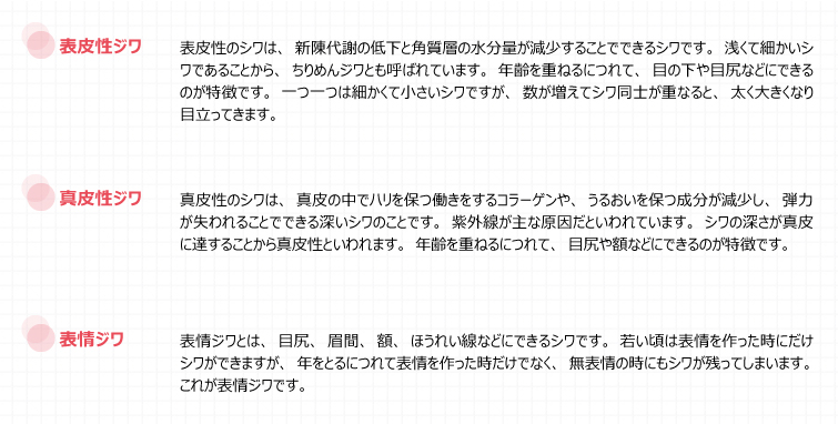 シワの種類