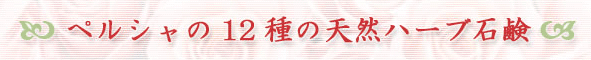 �ڥ륷����12���ŷ���ϡ����и�