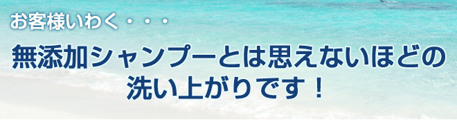 アンナトゥモール ナチュラルシャンプーはお客様いわく・・・無添加シャンプーとは思えないほどの洗い上がりです!