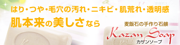 �Ϥꡦ�Ĥ䡦�ӷ�α��졦�˥��ӡ�ȩ�Ӥ졦Ʃ�����ʤ������Фμ����и������󥽡���