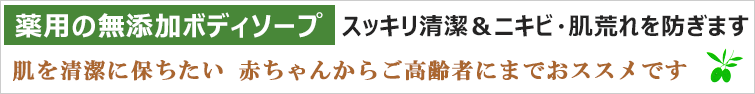 ピュアソープピュア ボディソープ 薬用の無添加ボディソープ すっきり清潔&ニキビ・肌荒れを防ぎます 肌を清潔に保ちたい 赤ちゃんからご高齢者にまでおススメです