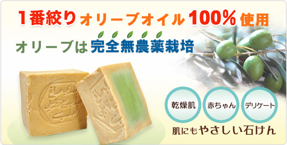 ���֥ɥ�������и��ʥ쥮��顼/���꡼��100���