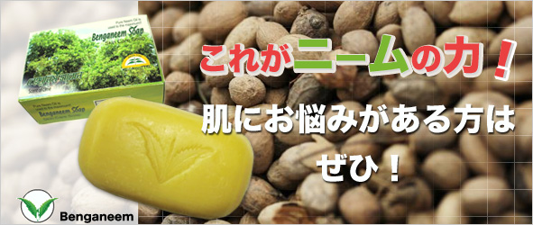 二ーム石鹸(ライムの香り)