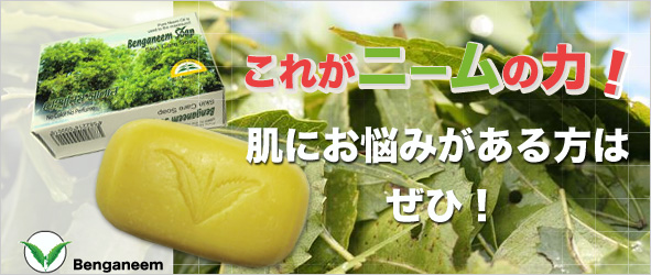 二ーム石鹸(無香料)