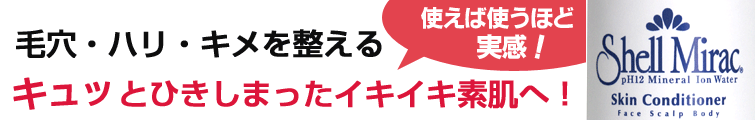 シェルミラックスキンコンディショナー は使えば使うほど実感! 毛穴・ハリ・キメを整える
キュッとひきしまったイキイキ素肌へ!
