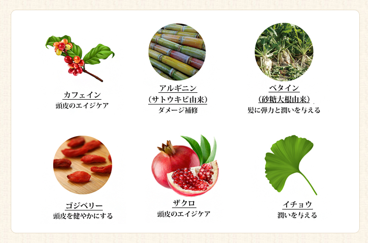 ロゴナエイジエナジーシャンプー