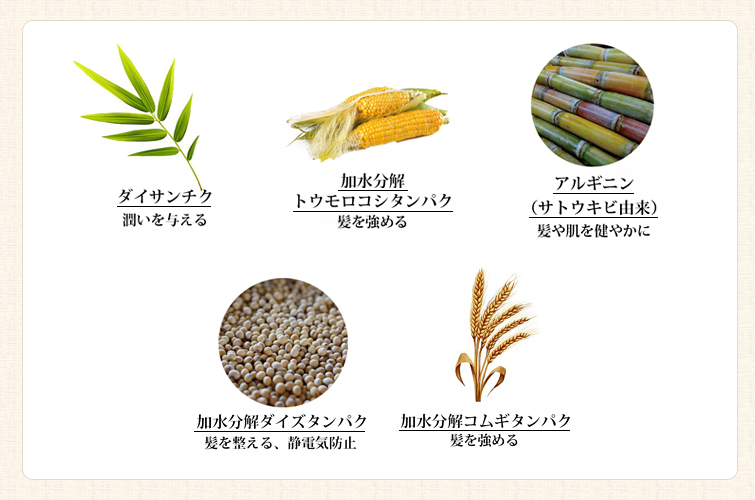 ロゴナシルキーシャンプー<バンブー>