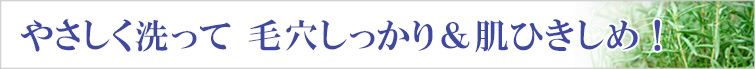 やさしく洗って 毛穴しっかり&肌ひきしめ!