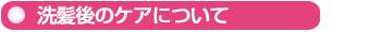 洗髪後のケアについて