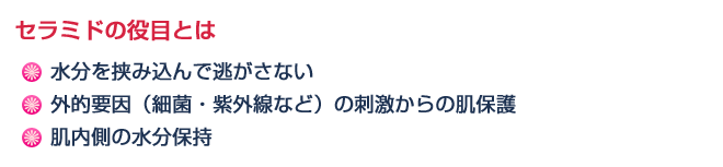セラミドの役目とは ●水分を挟み込んで逃がさない ●外的要因(細菌・紫外線など)の刺激からの肌保護 ●肌内側の水分保持