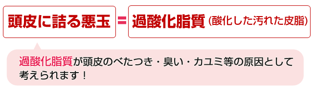 頭皮に詰る悪玉=過酸化脂質(酸化した汚れた皮脂)過酸化脂質が頭皮のべたつき・臭い・カユミ等の原因として考えられます!