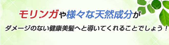 モリンガや様々な天然成分がダメージのない健康美髪へと導いてくれることでしょう!