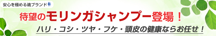 <安心を極める魂ブランド> 待望のモリンガシャンプー登場! ハリ・コシ・ツヤ・フケ・頭皮の健康ならお任せ!
