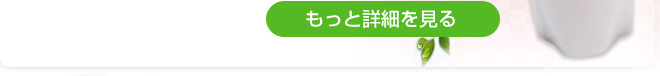 魂のモリンガハーブシャンプーの詳細を見る