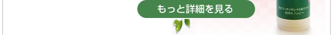 詳細を見る