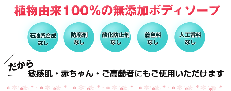 魂のモリンガボディソープ(詰替えタイプ)は植物由来100%の無添加ボディソープ
