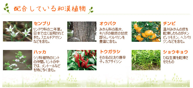 ハーティハートヘアローションの配合している和漢植物;センブリ、オウバク、チンピ、ショウキョウ、ハッカ、トウガラシ