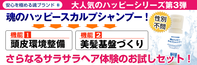 【大人気のハッピーシリーズ第3弾】頭皮環境整備+美髪基盤づくりの2機能を持つ
魂のハッピースカルプシャンプー!【性別不問】。さらなるサラサラヘア体験のお試しセット!