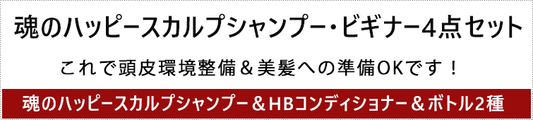 【大人気のハッピーシリーズ第3弾】<はじめての方向け>ハッピースカルプシャンプー4点セット【4点の内容】スカルプシャンプー+HBコンディショナー+魂のエコ泡ボトル+コンディショナー用ボトル