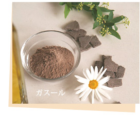 ガスール