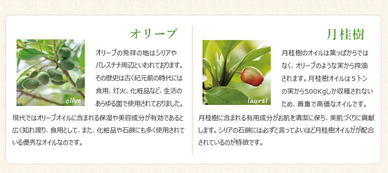 ガール石鹸は新鮮な“オリーブオイル”と最高級の“月桂樹オイル”で作ったお肌に優しい天然植物性の無添加手作り石鹸