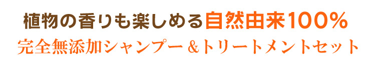 ボンヌプランツシャンプー+トリートメント(シトラス&ミント)セット;植物の香りも楽しめる自然由来100%