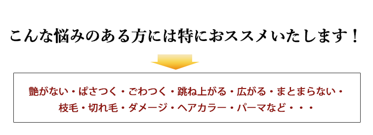 【キャセオンPGトリートメント】こんな悩みのある方には特におススメいたします!艶がない・ぱさつく・ごわつく・跳ね上がる・広がる・まとまらない・
枝毛・切れ毛・ダメージ・ヘアカラー・パーマなど・・・