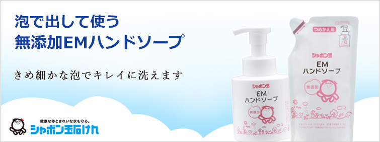 【 EMハンドソープ 】泡で出して使う無添加EMボディソープ詰替用
きめ細かな泡&すっきり爽快な洗い上がり