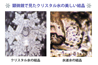 顕微鏡で見たクリスタル水の美しい結晶