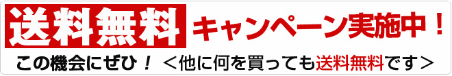 送料無料!他に何を買っても送料無料です