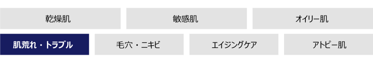 肌質・目的別の各カテゴリのご案内