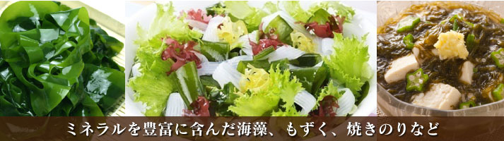 海藻類 ミネラルを豊富に含んだ海藻、もずく、焼きのりなど