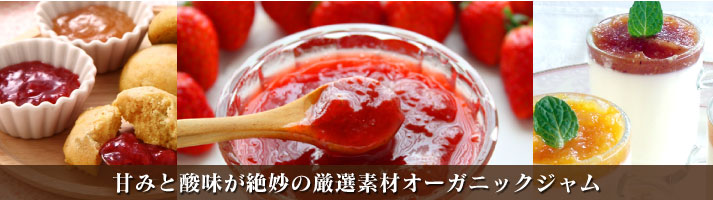 ジャム・ペースト 甘みと酸味が絶妙の厳選素材オーガニックジャム
