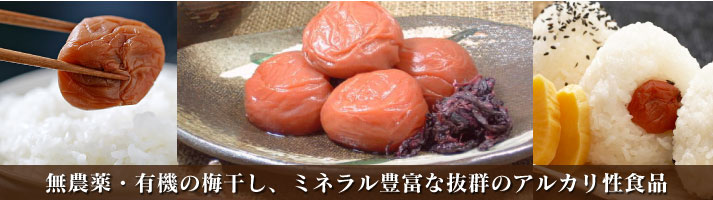 梅干し 無農薬・有機の梅干し、ミネラル豊富な抜群のアルカリ性食品