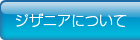 ジザニアTOP