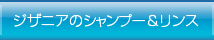 シャンプー&リンス