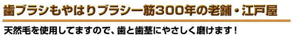 天然毛を使用してますので、歯と歯茎にやさしく磨けます!