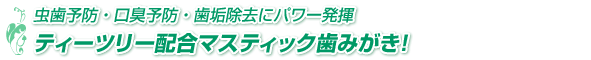 虫歯予防・口臭予防・歯垢除去にパワー発揮 ティーツリー配合マスティック歯みがき!