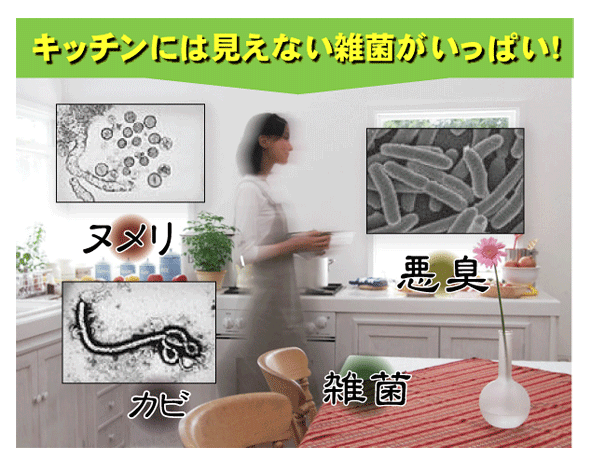 排水溝ピカピカ 『スッキリ排水光』