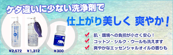 【がんこ本舗/少量でキレイになるエコ洗濯洗剤】「海へ...」