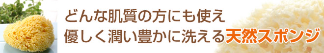 どんな肌質の方にも使え 優しく潤い豊かに洗える天然スポンジ