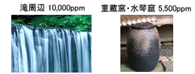 滝周辺 10,000ppm 重蔵窯・水琴窟 5,500ppm