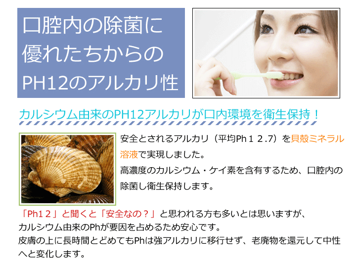 シェルミラックデンタフレッシュ