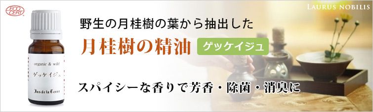 オーガニック ゲッケイジュ(ローレル)精油は野生の月桂樹(ローレル)の葉から抽出した月桂樹の精油
スパイシーな香りで芳香・除菌・消臭に